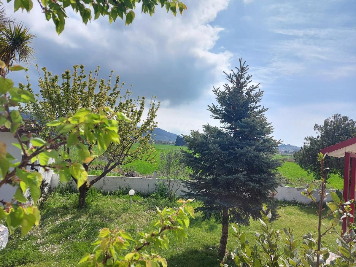 Betahomes- Summer Fourka Dış mekan fotoğraf