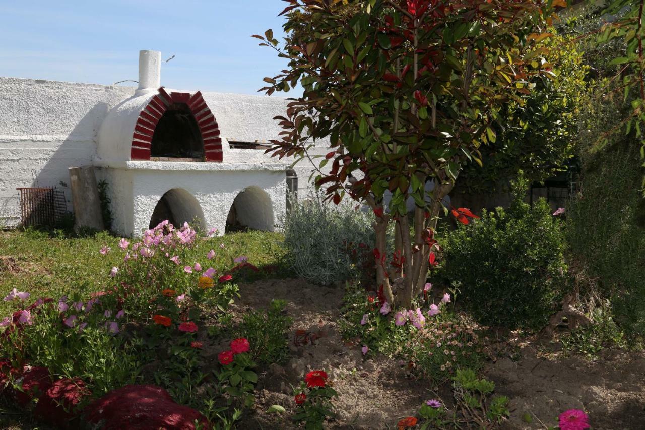 Betahomes- Summer Fourka Dış mekan fotoğraf